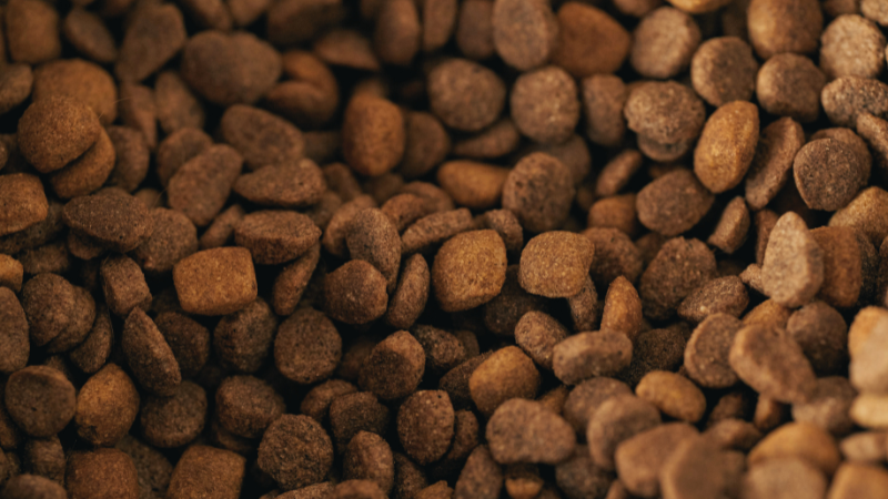 pet-food